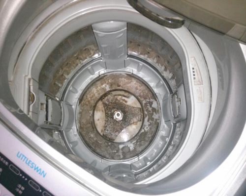 图为常时间不清洗的洗衣机内部