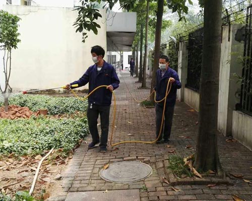 杀鼠人员杀虫现场